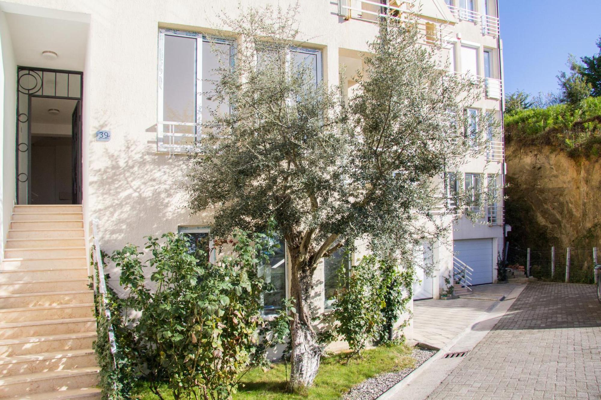 Exclusive Apartment Τίρανα Εξωτερικό φωτογραφία
